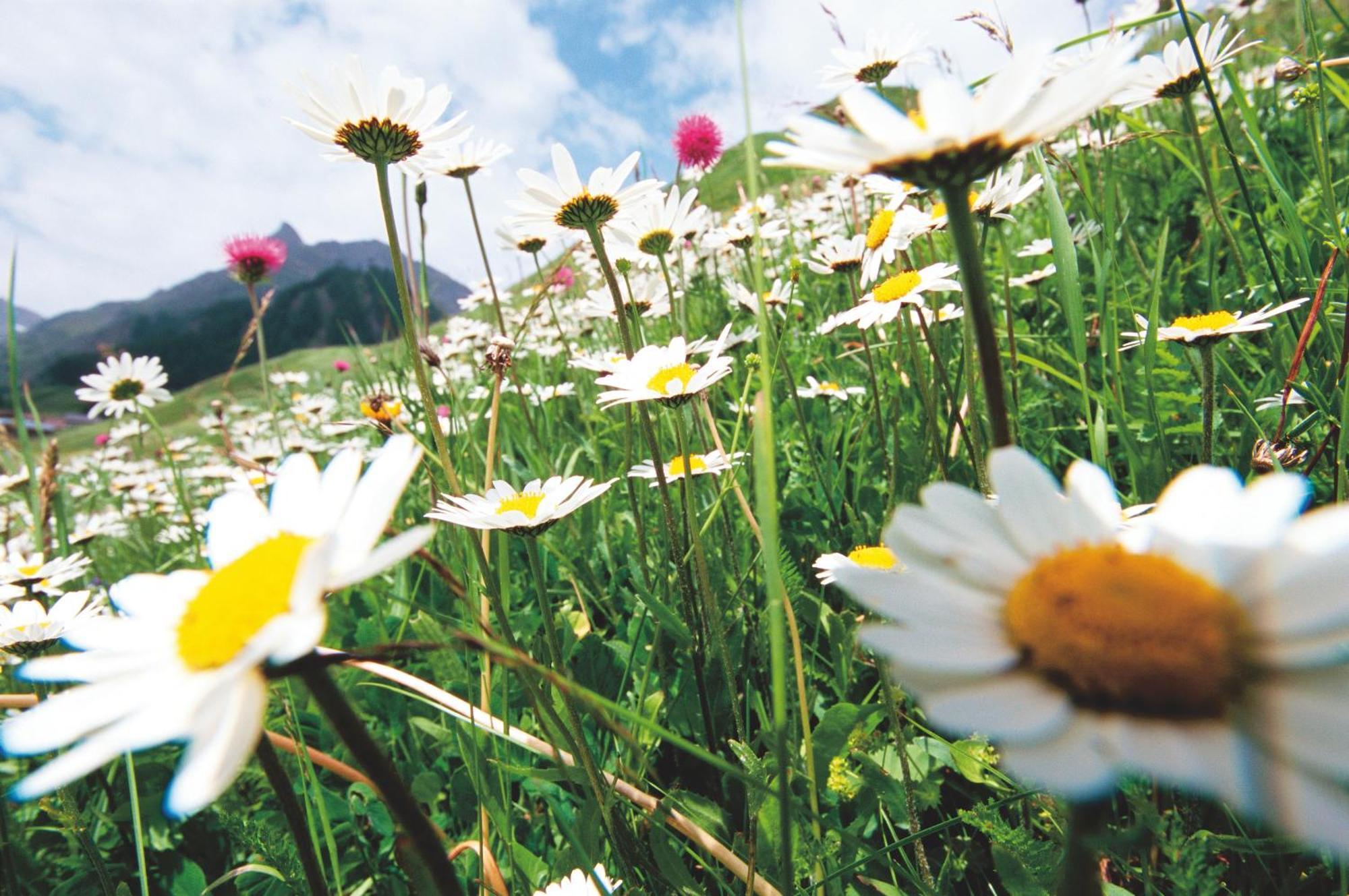 Hotel Garni Muttler Alpinresort & Spa Samnaun Zewnętrze zdjęcie